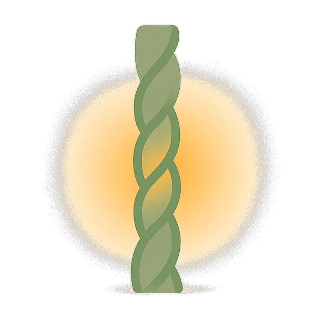 The Weaver visualization